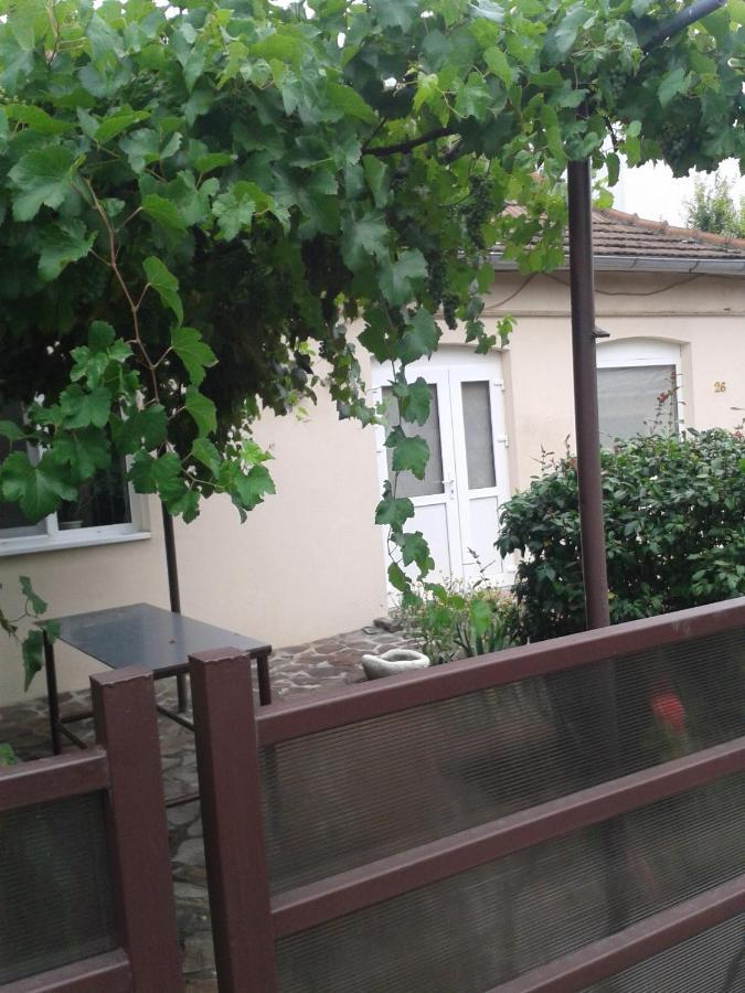 باكاو Pensiunea Casa Didina المظهر الخارجي الصورة